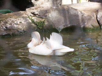 Návšteva zariadenia Čeláre – Kirť 2012