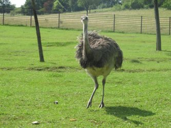 ZOO a Dinopark Košice