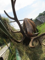 ZOO a Dinopark Košice
