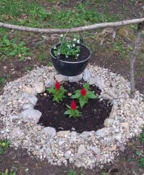 Skrášľovanie okolia nášho zariadenia