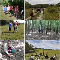 Prechádzka lesom a zber hríbov