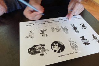 Kvízové dopoludnie