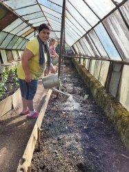 Jarné práce - sadenie papriky