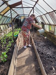 Jarné práce - sadenie papriky