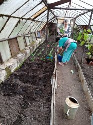 Jarné práce - sadenie papriky