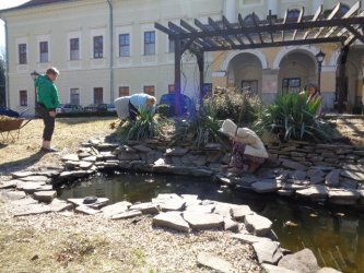 Jarné práce - sadenie papriky