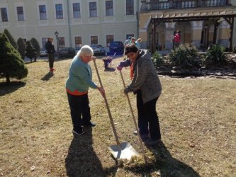 Jarné práce - sadenie papriky