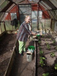 Jarné práce - sadenie papriky