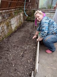 Jarné práce - sadenie papriky