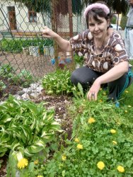 Jarné práce - sadenie papriky