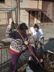 Pokračujeme vo zveľaďovaní záhrady