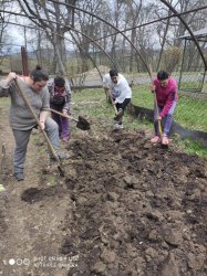 Pokračujeme vo zveľaďovaní záhrady