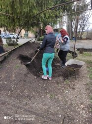 Pokračujeme vo zveľaďovaní záhrady