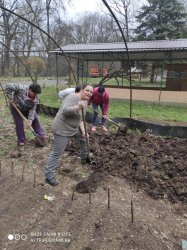 Pokračujeme vo zveľaďovaní záhrady