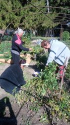 Udalosti z posledných týždňov