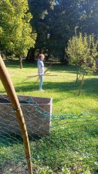 Udalosti z posledných týždňov