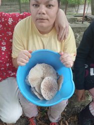 Udalosti z posledných týždňov