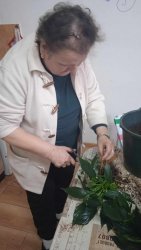 Veľké jarné prípravy