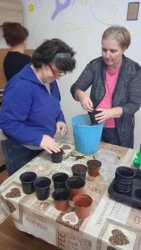 Veľké jarné prípravy