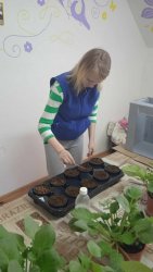 Veľké jarné prípravy