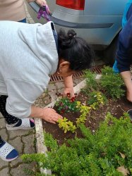 Naša jarná pracovná terapia a psychohygiena v jednom