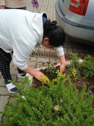 Naša jarná pracovná terapia a psychohygiena v jednom