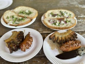 Letná sezóna zahájená