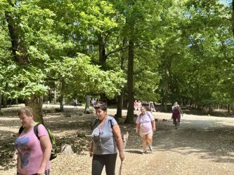 Letná sezóna zahájená