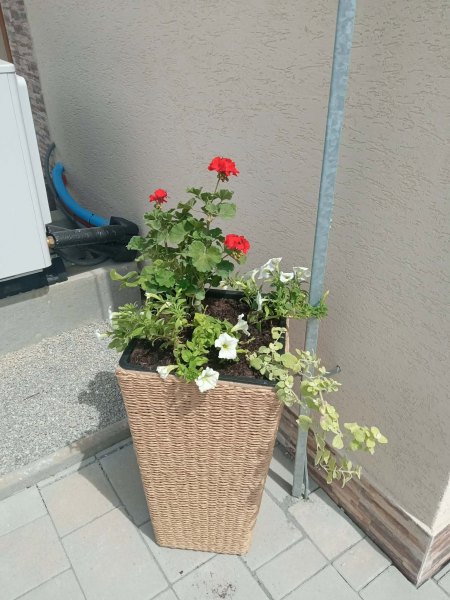 Život v našom podporovanom bývaní je plný radosti