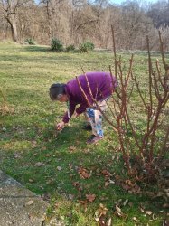 Ergoterapia - pracovná terapia