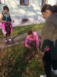 Ergoterapia - pracovná terapia