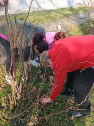 Ergoterapia - pracovná terapia