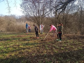 Ergoterapia - pracovná terapia