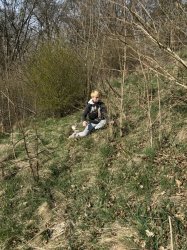 Gardenterapia - práce v záhradke a v okolí zariadenia