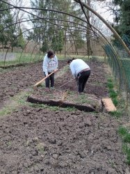 Gardenterapia - práce v záhradke a v okolí zariadenia