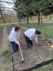 Gardenterapia - práce v záhradke a v okolí zariadenia